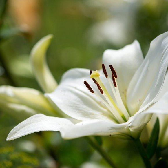 Kodak USA G200 35mm Negative Film 36 exposures #6033997 FRESH DATING - Picture 5 of 6